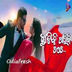 Chhadiki Paribi Tate